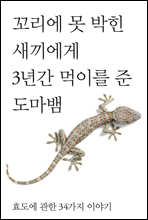 3Ⱓ ̸