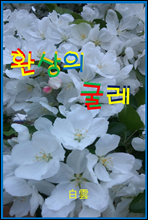 ȯ